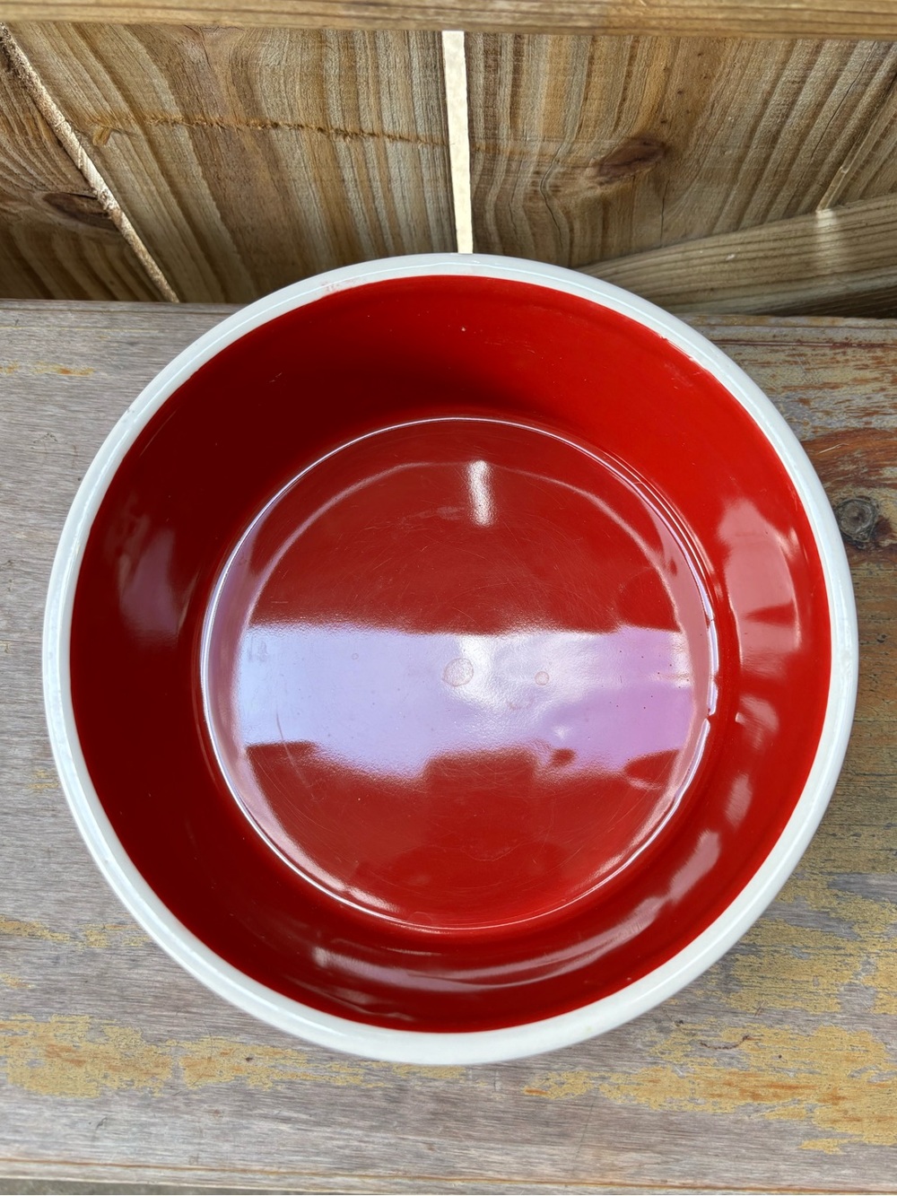 Rae Dunn Artisan Collection Red & White Drink Up Large Pet Water Bowl 8” - Picture 5 of 8